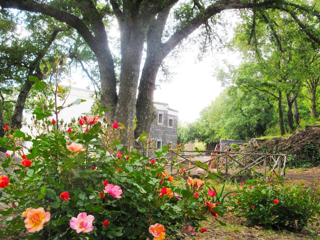 Boscoscuro Villa Ragalna Dış mekan fotoğraf